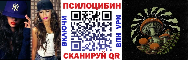 Псилоцибиновые грибы Psilocybine cubensis  blacksprut ТОР  Вязники 